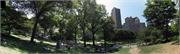 central park skyline pano